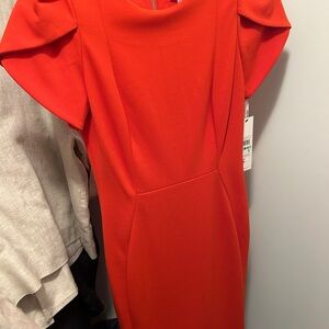 Women’s Orange/Dark Coral Structured Sheath Dress - Calvin Klein